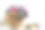 服装图片素材ID：109216744