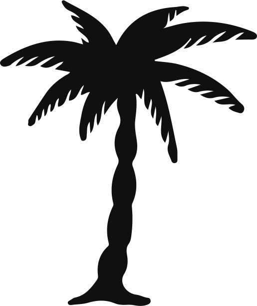 椰子树黑色的剪影图片下载