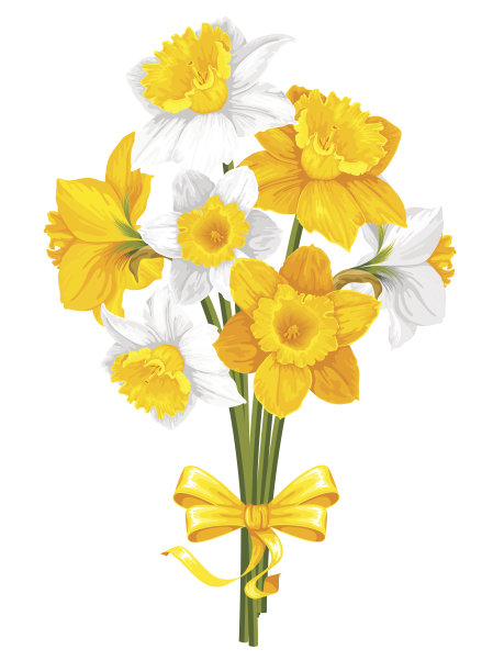 水仙花图片下载