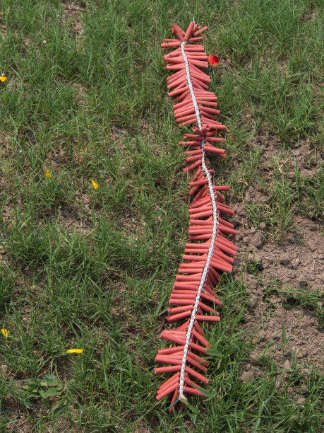 红色的鞭炮放在草地上图片下载