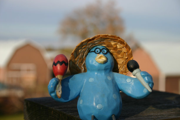 在农场的蓝鸟派对上图片下载