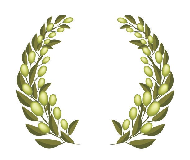 美丽的橄榄花环在白色的背景图片下载
