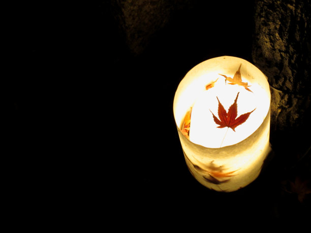 秋天的落叶图片下载