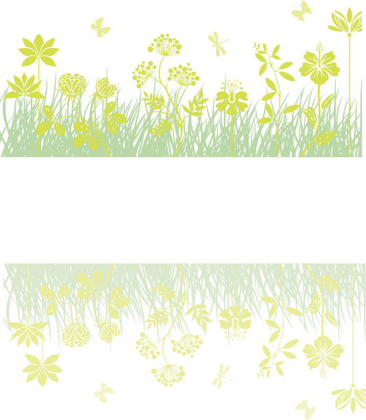 春天的反射图片下载