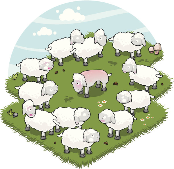 一群羊看着一只剪了毛的裸羊脸红了图片下载