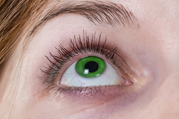 绿色的眼睛图片下载