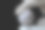 美第奇的狮子，佛罗伦斯的狮子雕像，由弗拉米尼奥·维卡创作图片下载