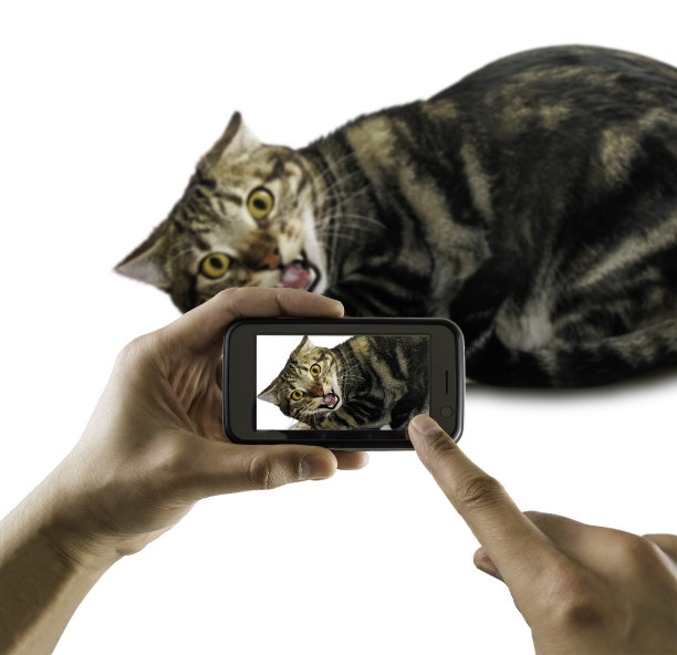 没有照片图片下载