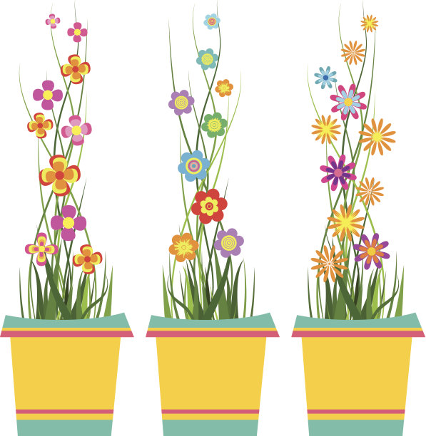 花盆里的春花图片下载