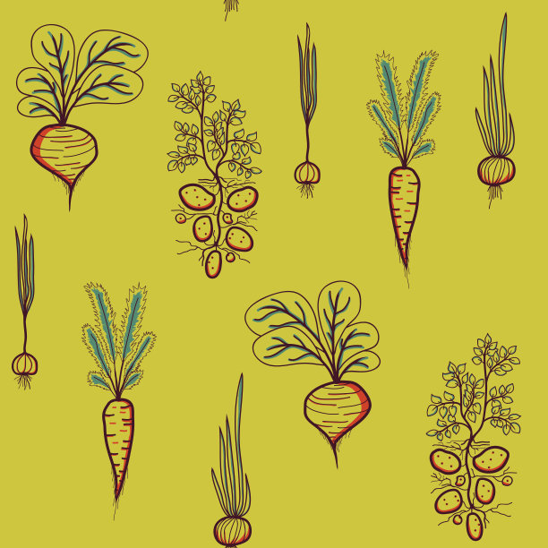 无缝模式种植蔬菜-土豆，胡萝卜，大蒜，甜菜根，洋葱图片下载