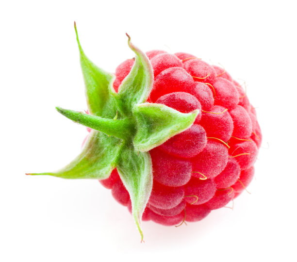 树莓果实孤立在白色图片下载