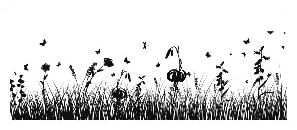 草地的背景图片下载