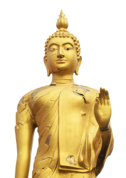 皮肤裂佛图片下载