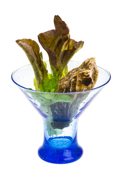 新鲜生蚝图片下载