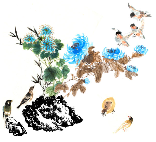 菊花和动物，石头图片下载