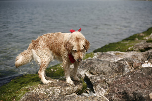 好管闲事的人图片下载