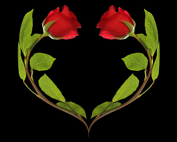 情人节卡片上的花是黑色背景的玫瑰图片下载