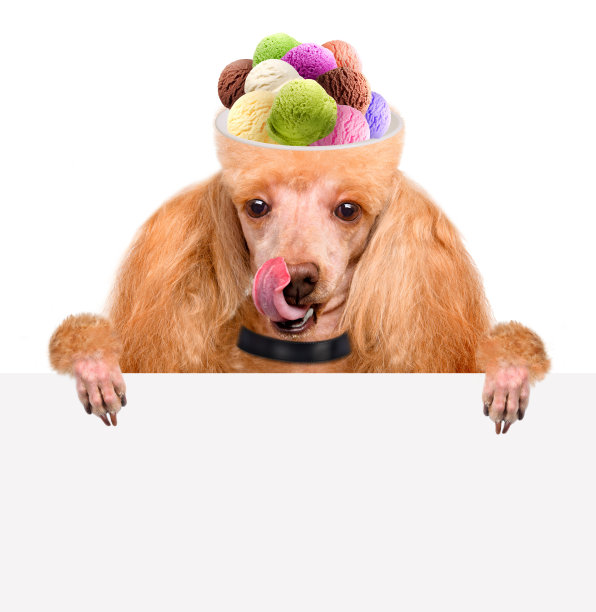 精神食粮图片下载