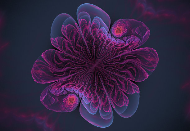 分形花图片下载