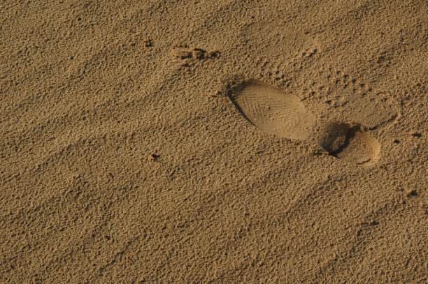 沙里的脚步声图片下载
