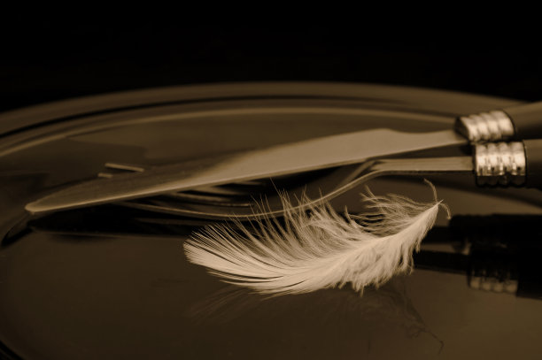 易于消化的食物图片下载