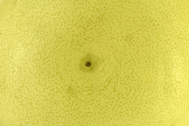 柚子(葡萄柚)背景图片下载