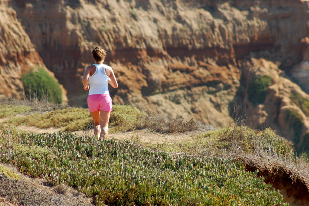 试车手图片下载