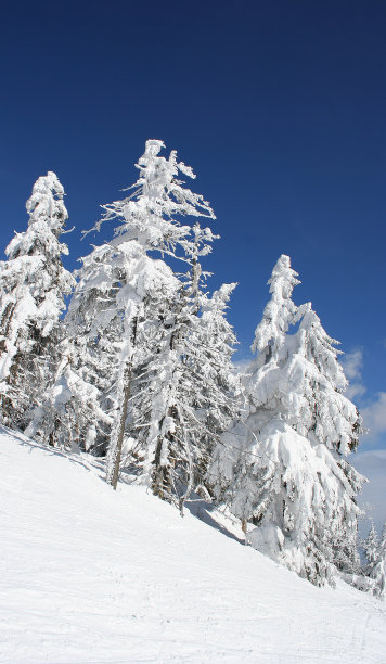 冬天农村图片下载
