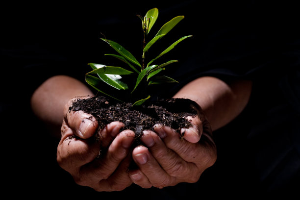 新生活图片下载