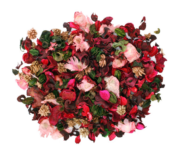 白色装饰花图片下载