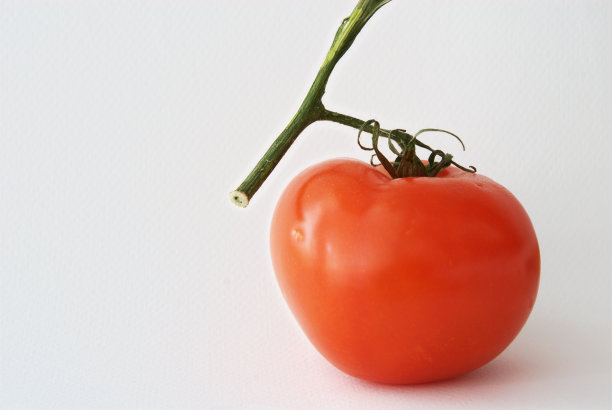 番茄图片下载