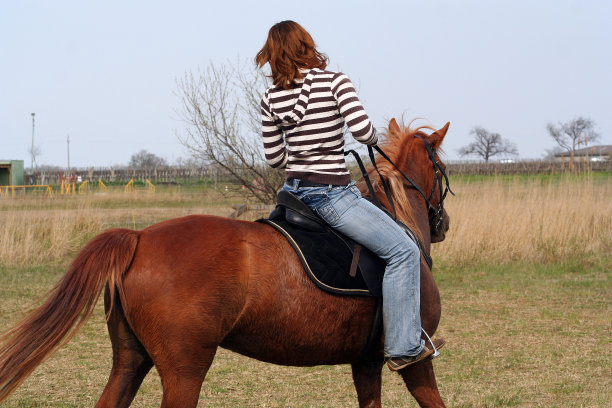 马背上的牛仔女孩图片下载