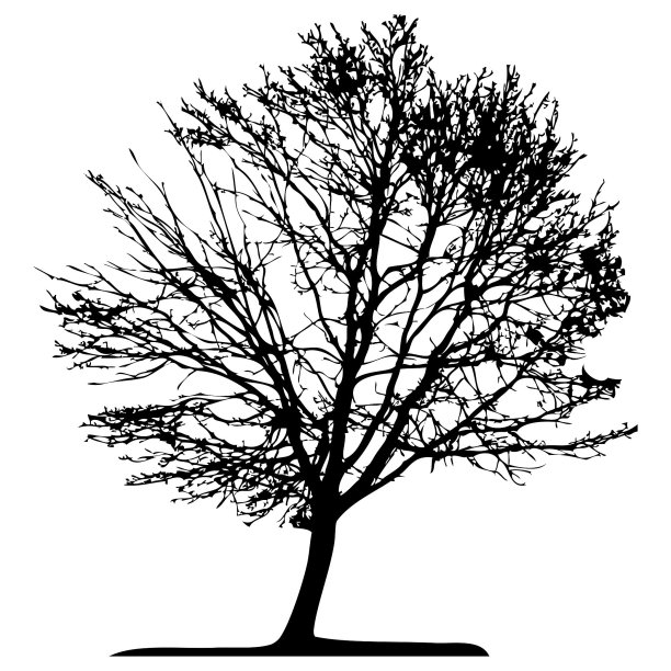 向量树隔离图片下载