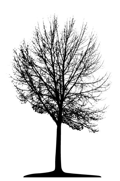 向量树隔离图片下载