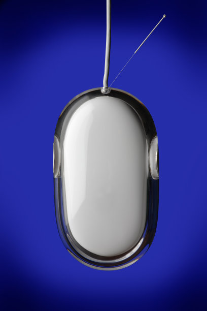 老鼠针灸疗法图片下载