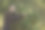 孤独的女孩在秋天的树林里图片下载