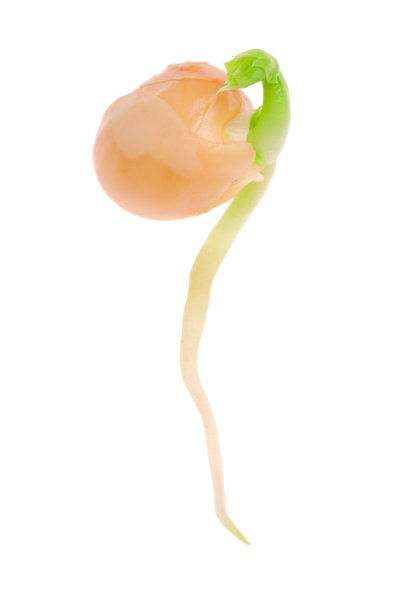 新生活图片下载