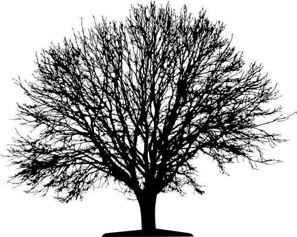 向量树隔离图片下载