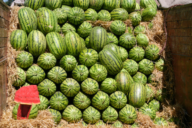 鲜市场西瓜图片下载