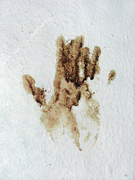 血手印图片下载