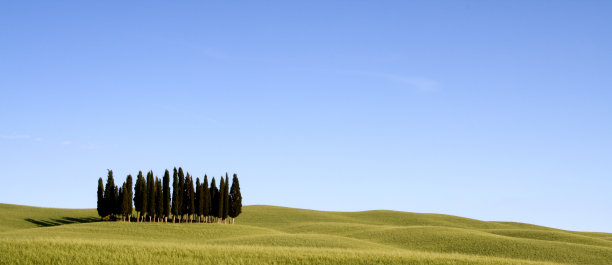 Orcia山谷与柏树图片下载