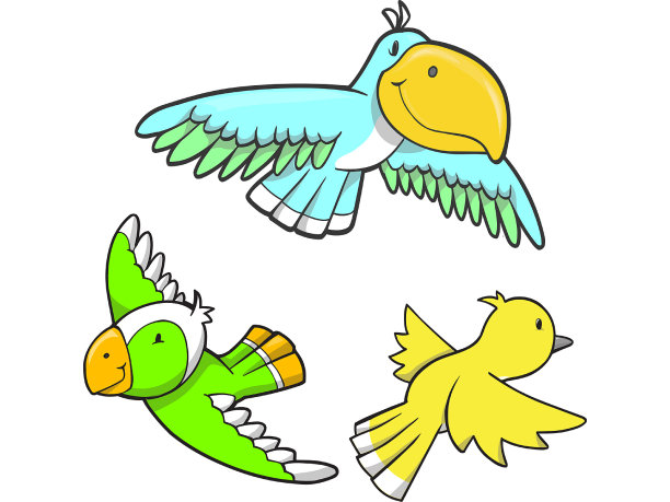 一套鸟类矢量插图图片下载