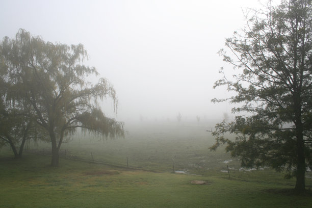 领域的雾图片下载