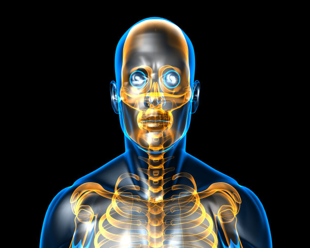 人体解剖学图片下载