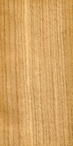 固着橡木图片下载