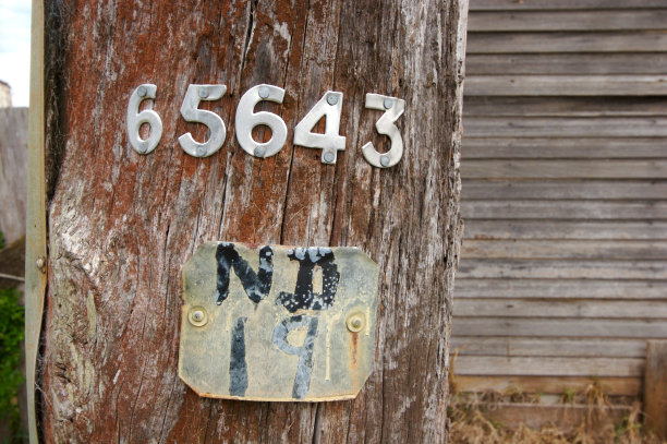 电报波兰图片下载