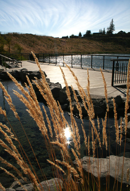 午后的阳光图片下载