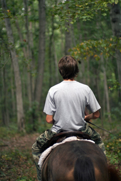 比骑2个图片下载