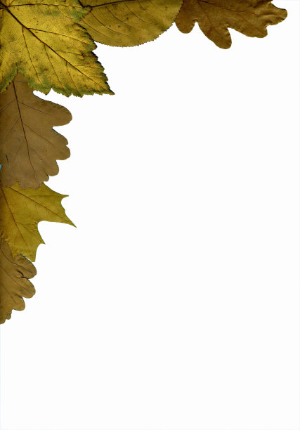 装饰框图片下载