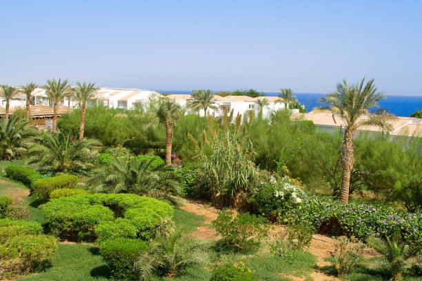 埃及旅游胜地图片下载